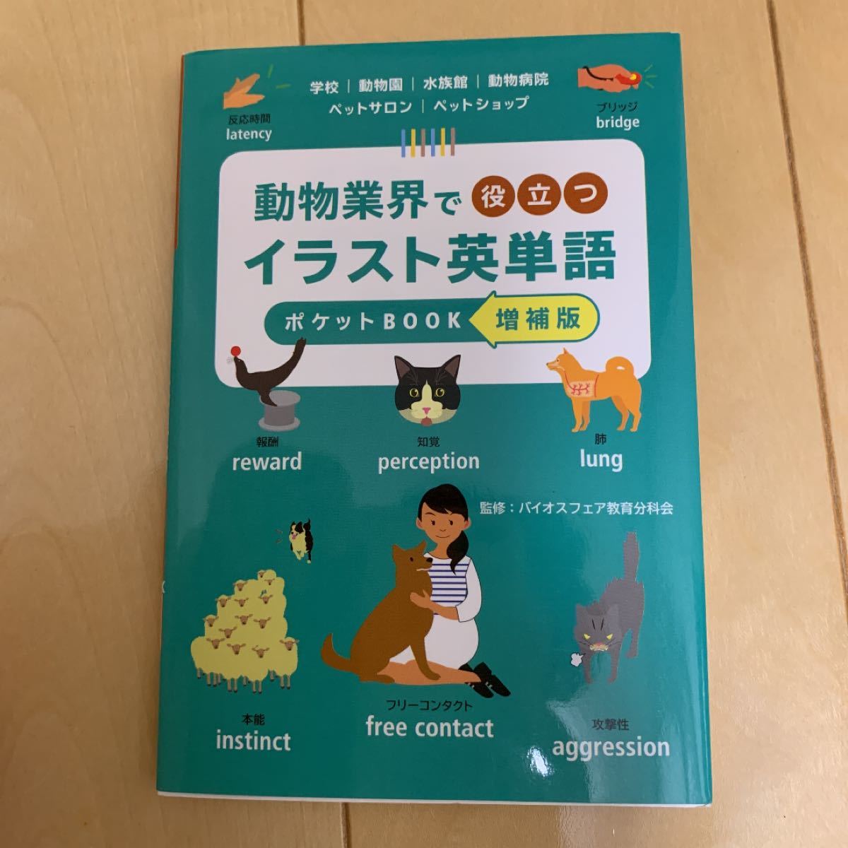 Paypayフリマ 動物業界で役立つイラスト英単語 Paypayフリマ 動物業界で役立つイラスト英単語