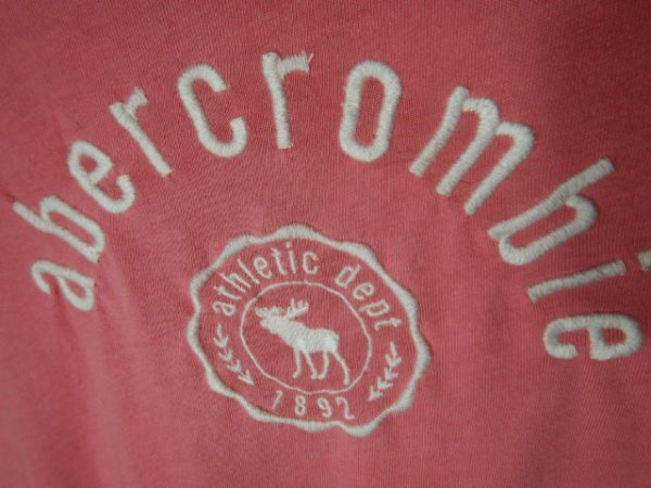 to2766　abercrombie　KIDS アバクロ　レディース　半袖　刺　ロゴ　tシャツ　人気　送料格安_画像3