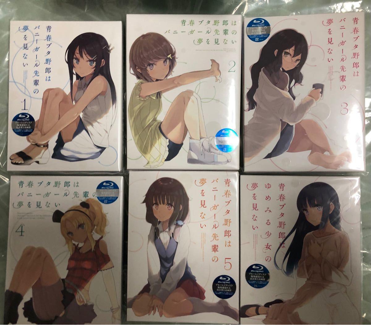 売れ筋介護用品も! 新品未開封 青春ブタ野郎はバニーガール先輩の夢を