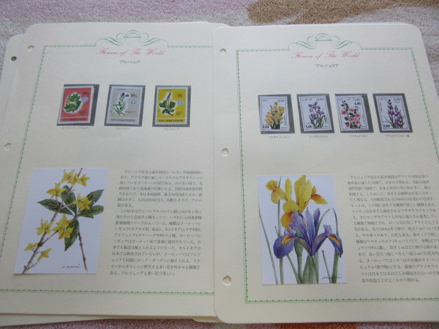 [FLOWER of The World( мир. цветок марка коллекция )] China роза 6 вид содержит * описание имеется примерно 58 сиденье N1005