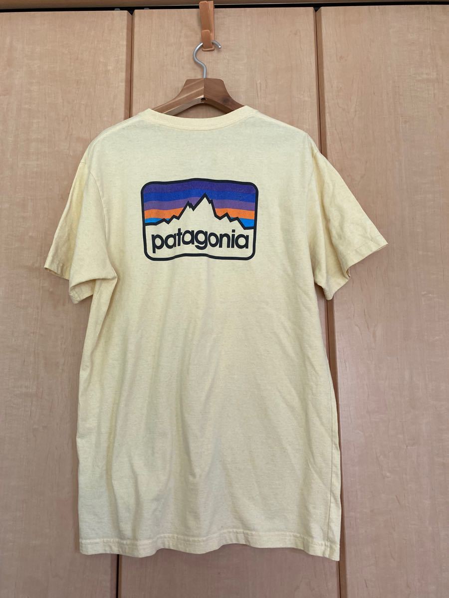 パタゴニア Patagonia Tシャツ