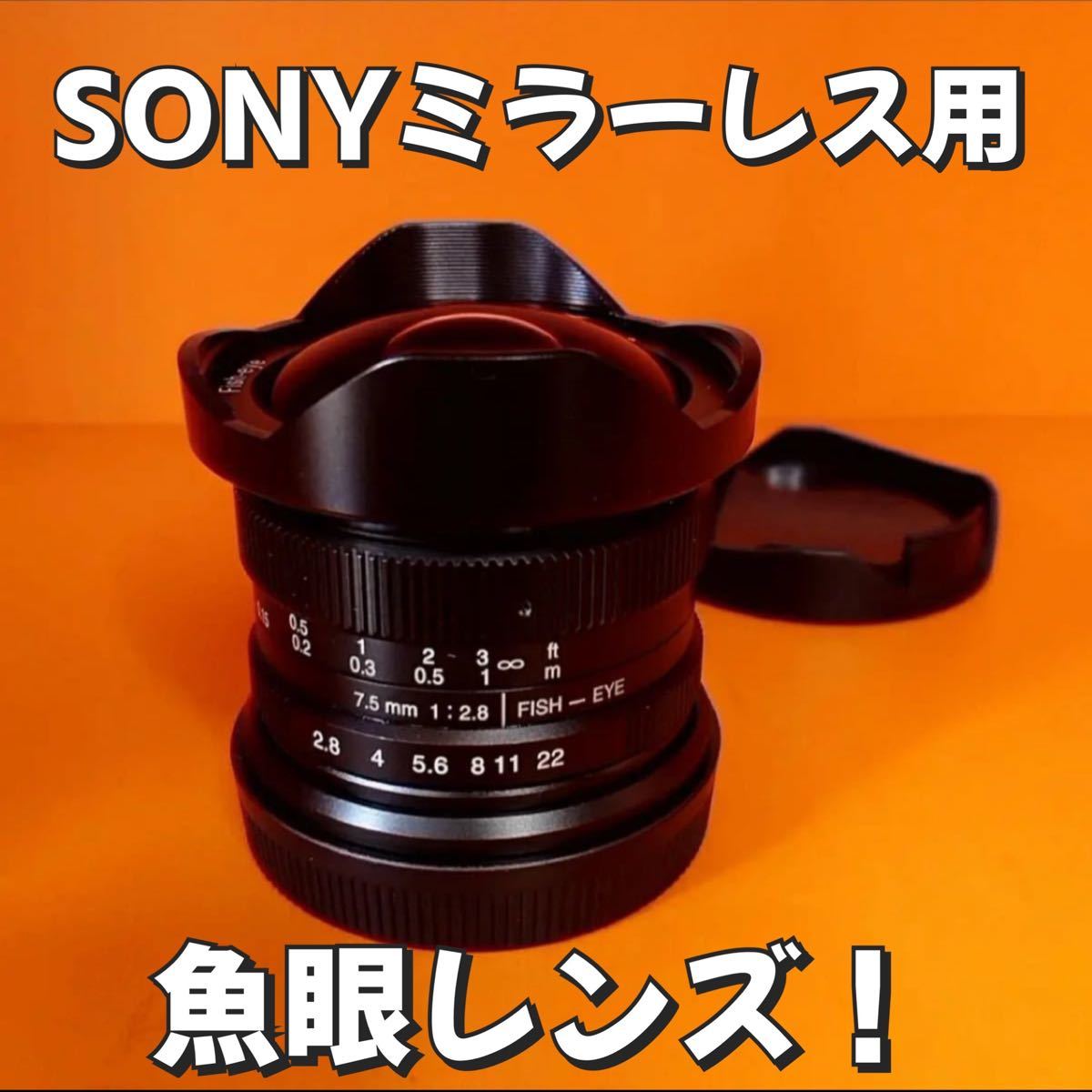 SONY Eマウント対応の魚眼レンズ!別名【フィッシュアイレンズ SONY Eマウント対応の魚眼レンズ!別名【フィッシュアイレンズ