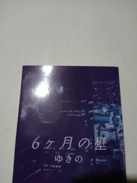 おっさんずラブ同人誌6ヶ月の壁、牧X 春田、ゆきの_画像1