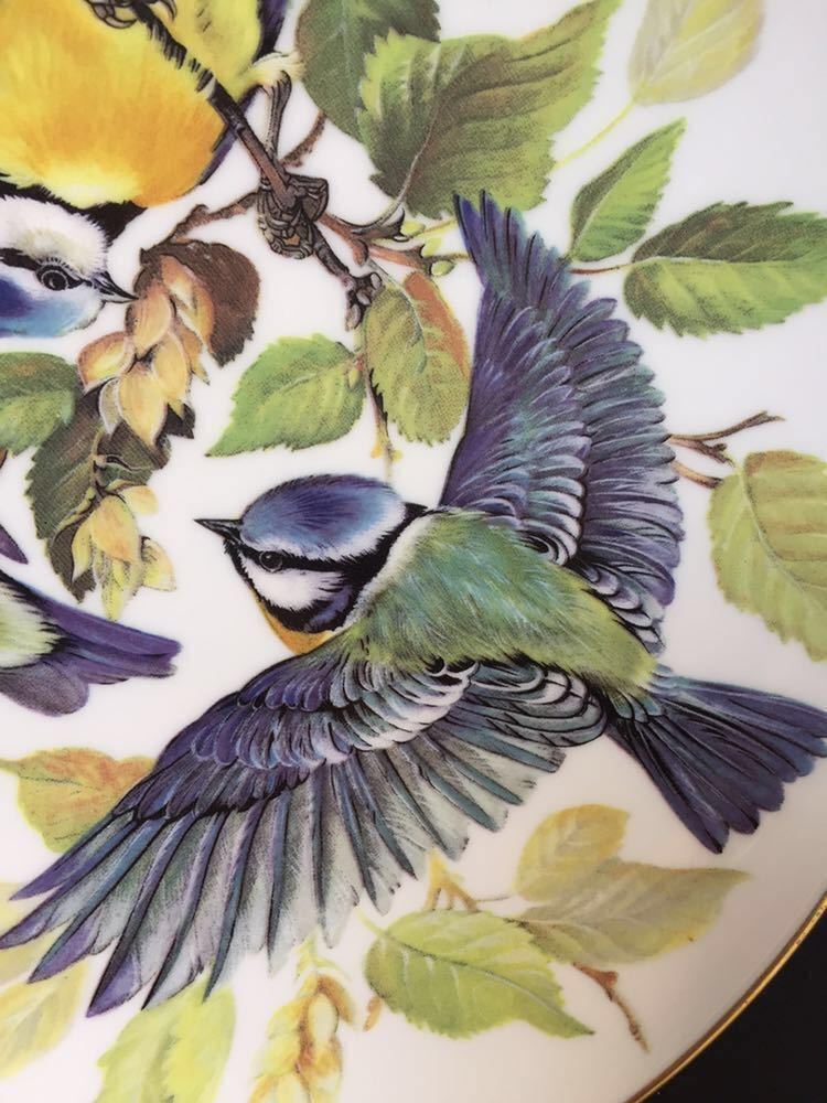 ドイツヴィンテージ ◆ WWF 世界自然保護基金 野鳥 「ブルーティッツ」コレクターズプレート 飾り皿 絵皿_画像3