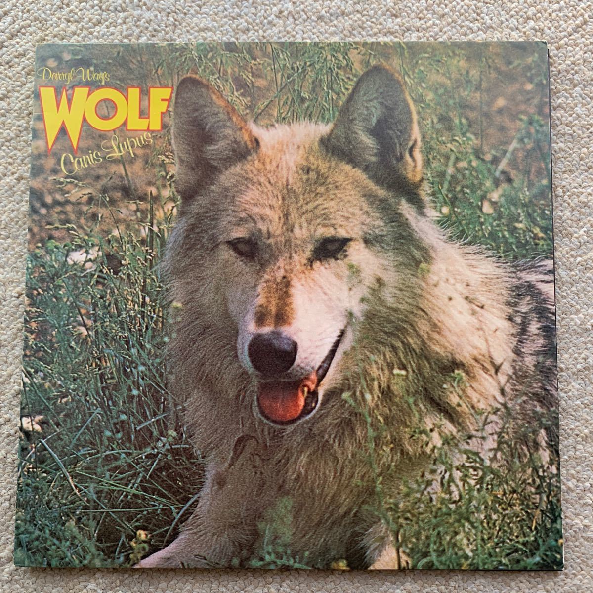 【レコード】CANIS LUPUS/Darryl Way's Wolf（UK-ORIG）