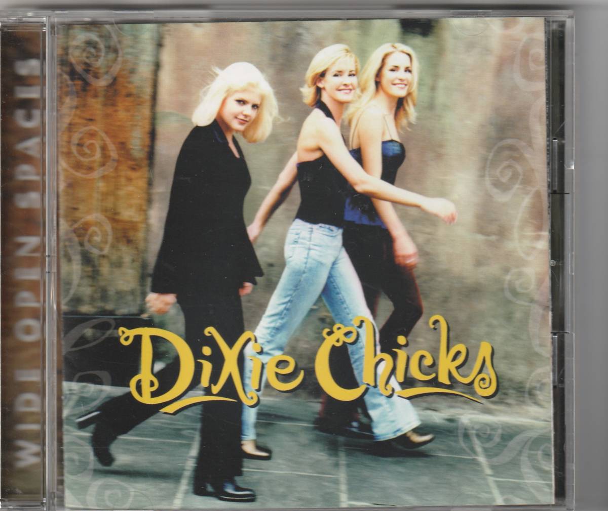 ディクシー・チックス / ワイド・オープン・スペーシズ DIXIE CHICKS / WIDE OPEN SPACES_画像1