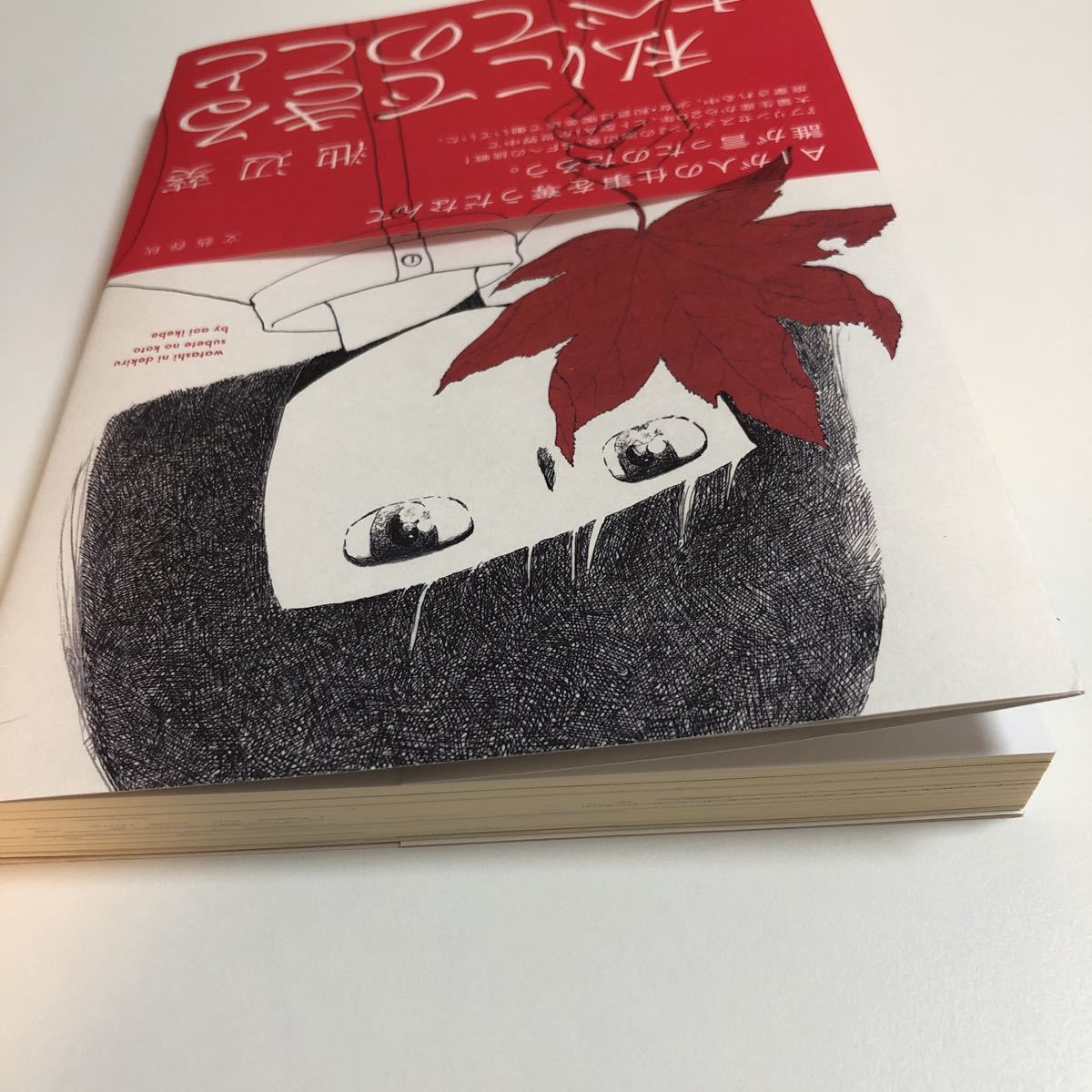 池辺葵 私にできるすべてのこと イラスト入りサイン本 初版 帯 池辺葵 私にできるすべてのこと イラスト入りサイン本 初版 帯