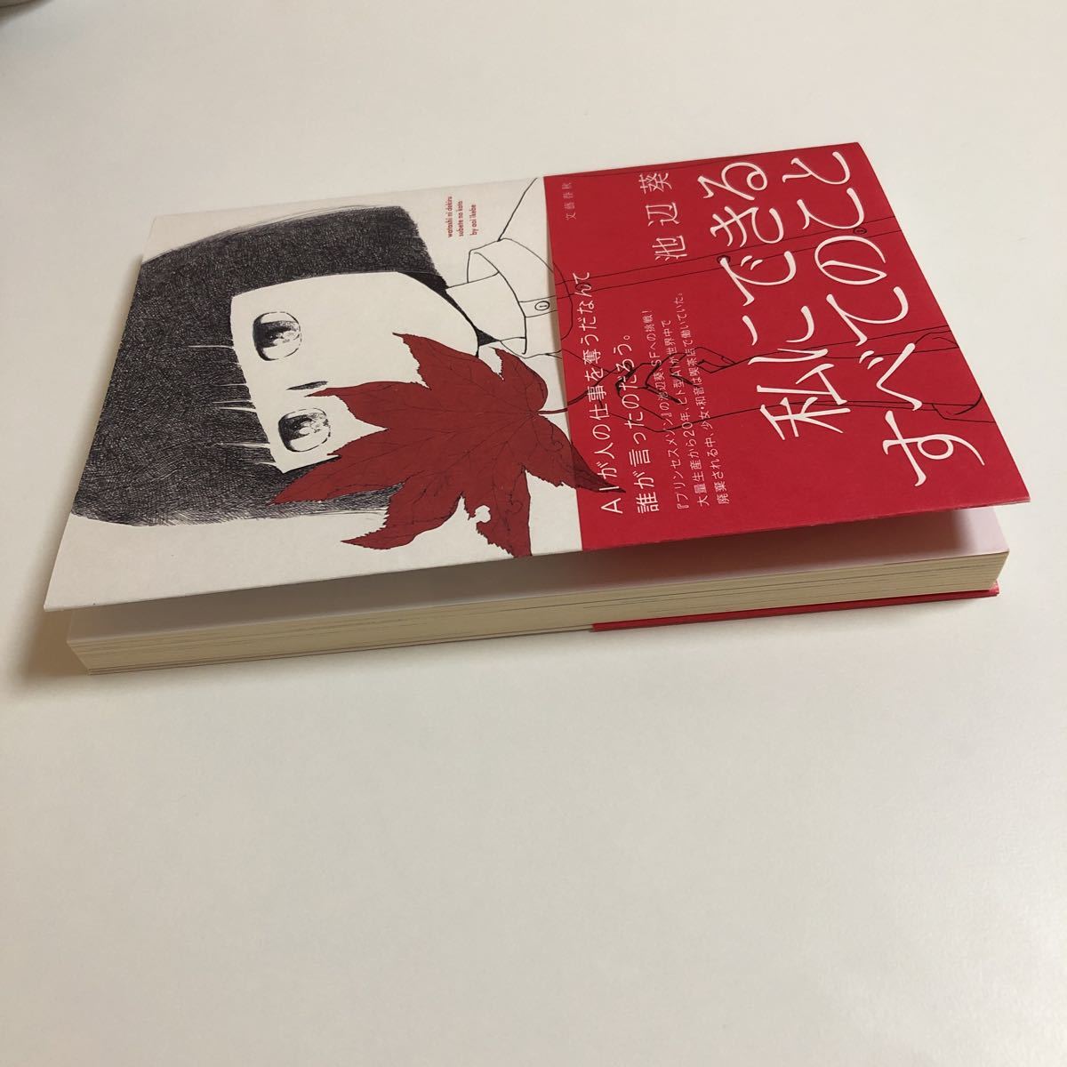 池辺葵 私にできるすべてのこと イラスト入りサイン本 初版 帯 池辺葵 私にできるすべてのこと イラスト入りサイン本 初版 帯