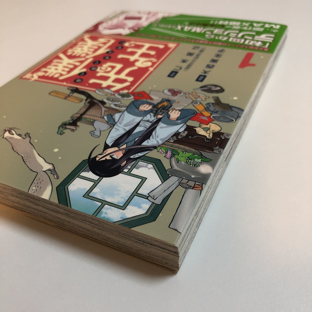 ヤフオク 大西実生子 僕僕先生 1巻 イラスト入りサイン本 ヤフオク 大西実生子 僕僕先生 1巻 イラスト入りサイン本