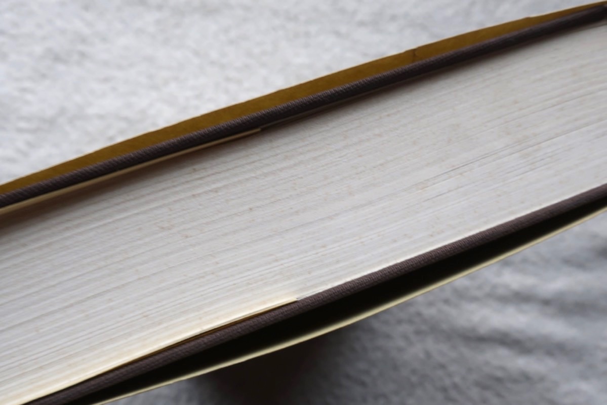 Deutsches Literatur-Lexikon Vierzehnter band Dritte Auflage第3版 ドイツ語 文学、小説 Deutsches Literatur-Lexikon Vierzehnter band Dritte Auflage第3版 ドイツ語 文学、小説
