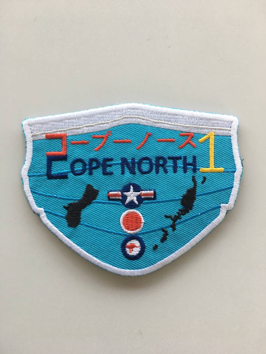 超貴重 コープノースグアム2021 日米共同訓練 ワッペン パッチ JASDF 