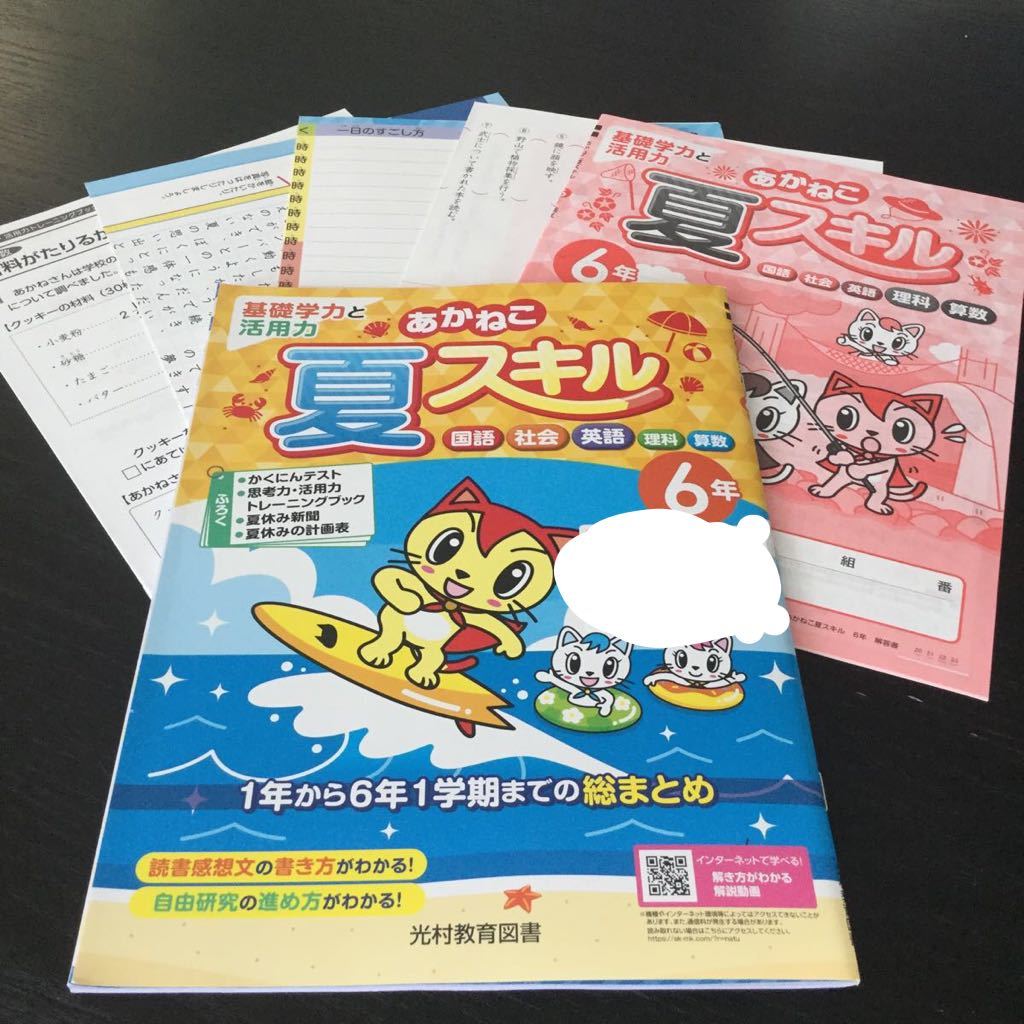 Eド20 六年生 光村教育図書 学習 ドリル 問題集 国語 算数 漢字 理科 社会 英語 テスト 小学生 テキスト テスト用紙 教材 文章問題 計算 _画像1