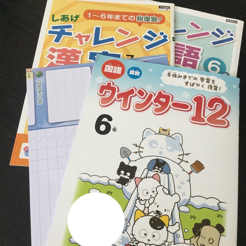 Eド34 六年生 学習 ドリル 問題集 国語 算数 漢字 理科 社会 英語 テスト 勉強 小学生 テキスト テスト用紙 教材 文章問題 計算 _画像1