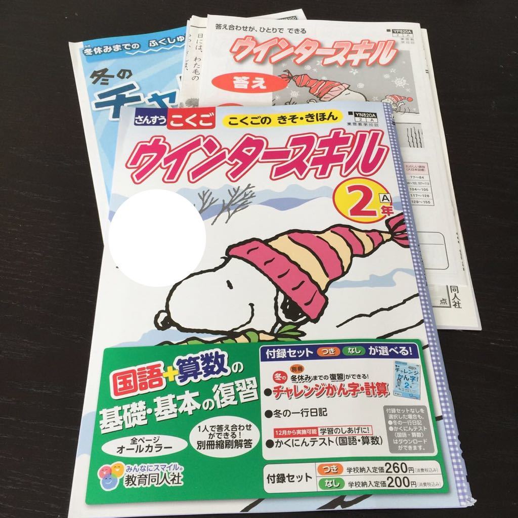 小学生 エープラス 国語 DVD付 算数 理科 ジュニア英語