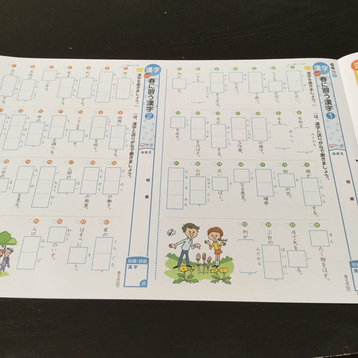 らくらくメ 最新 小学5年漢字 カラーテスト 新学社 光村図書対応 41HLC