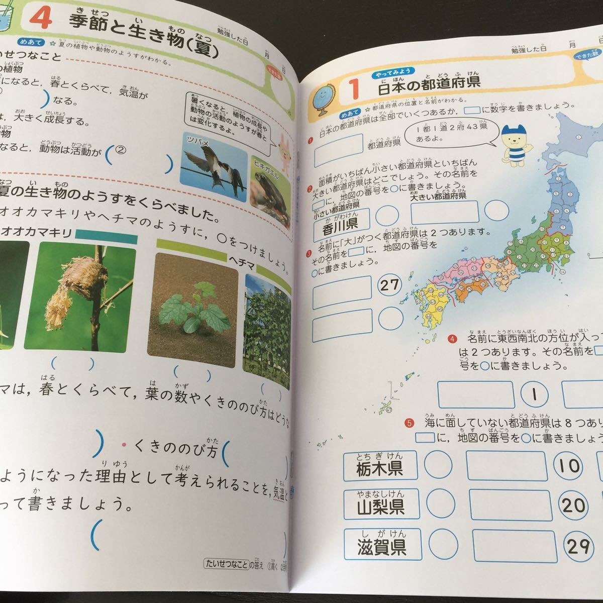 Gド36 四年生 学習 ドリル 問題集 国語 算数 漢字 理科 社会 英語 テスト 勉強 小学生 テキスト テスト用紙 教材 文章問題 計算 家庭学習_画像7