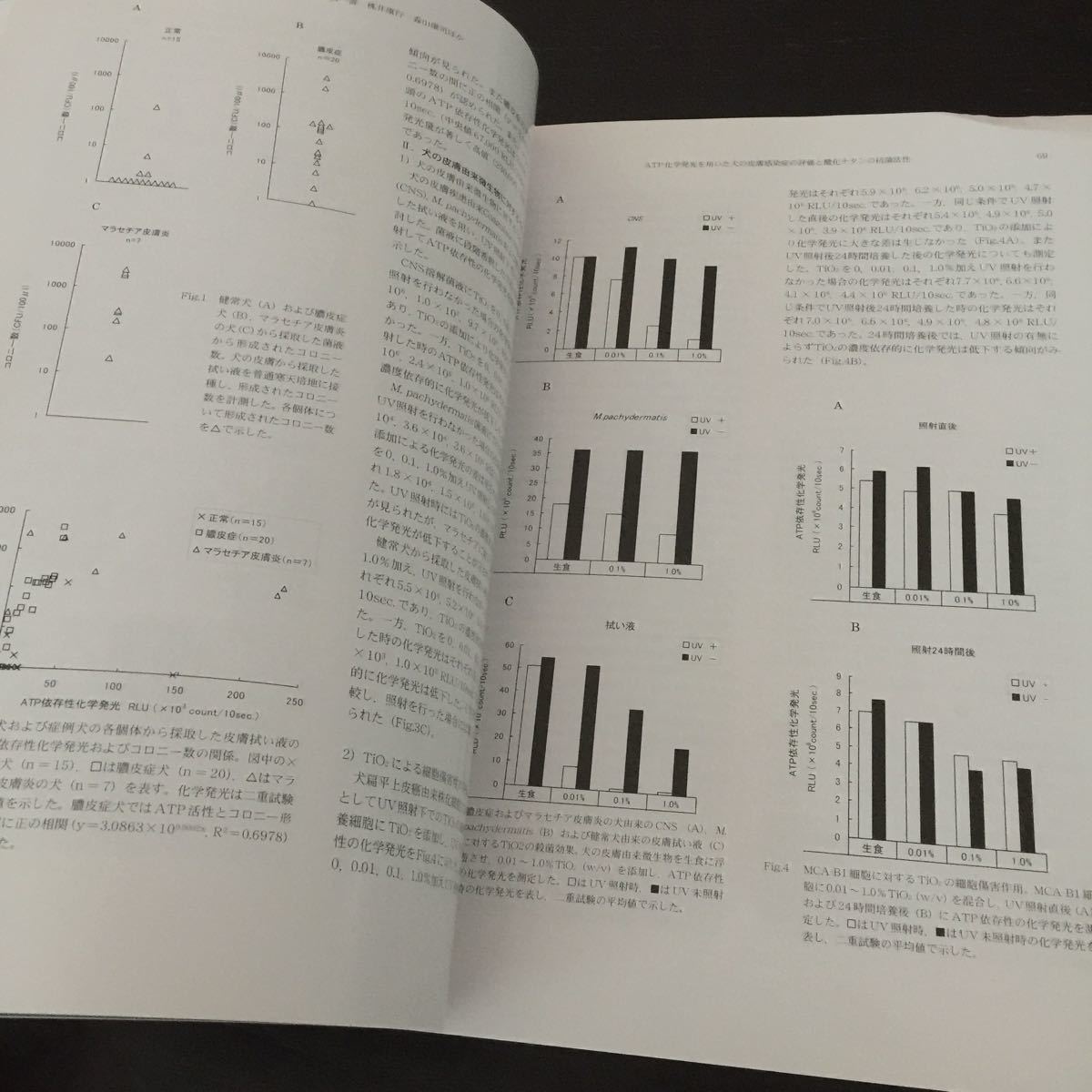 い19 動物臨床医学 2006年3月 vol.15 動物臨床医学会 実例 犬 ヘルニア 手術 癌 病気 病院 獣医 CUL治療 1344-6991 症例 口 口腔内 腫瘍 _画像7