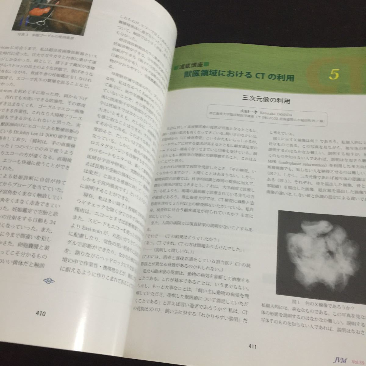 い22 JVM 2006年5月1日発行 治療 動物 獣医 犬 猫 鳥 ウイルス 小動物 野生動物 病気 腫瘍 悪性 癌 手術 高齢犬 事例 感染症 医者 細胞_画像6