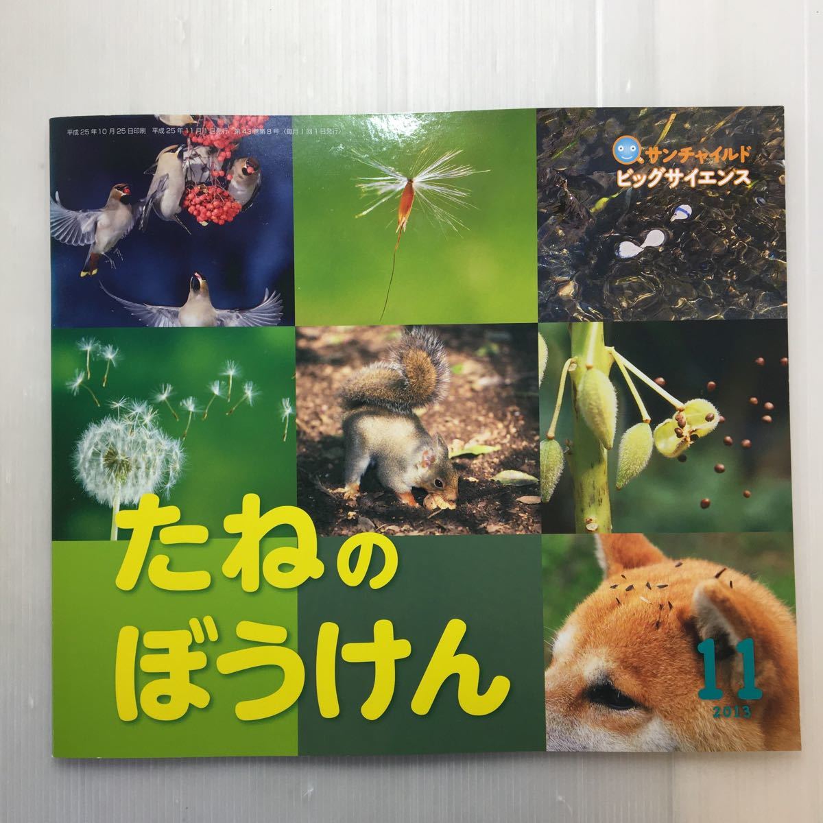 zaa-177♪たねのぼうけん (サンチャイルド・ビッグサイエンス) 大型本 2013/11/1 亀田竜吉 (著), 大久保茂徳 (著)_画像1