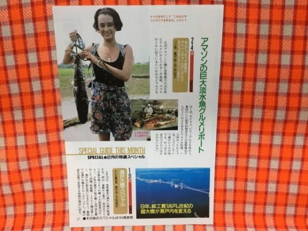 CN18505◆切抜き◇南野陽子後藤久美子若尾文子中井貴一坂東八十助かとうかずこ瀬戸大橋スペシャル◇武田信玄・第4回・運命の出会い_画像3