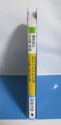 HOSONO百景 いつか夢に見た音の旅 細野晴臣・中矢俊一郎：編/河出文庫の画像2