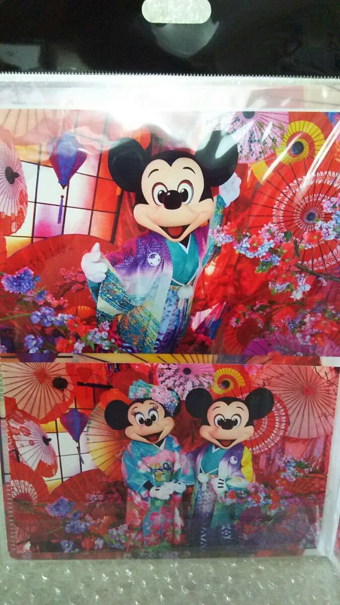 新品 未使用 未開封 ディズニー TDL 35周年 実写 写真 柄 ポスカ ポストカード ミッキー ミニー Imagining the Magic  蜷川実花さん お正月