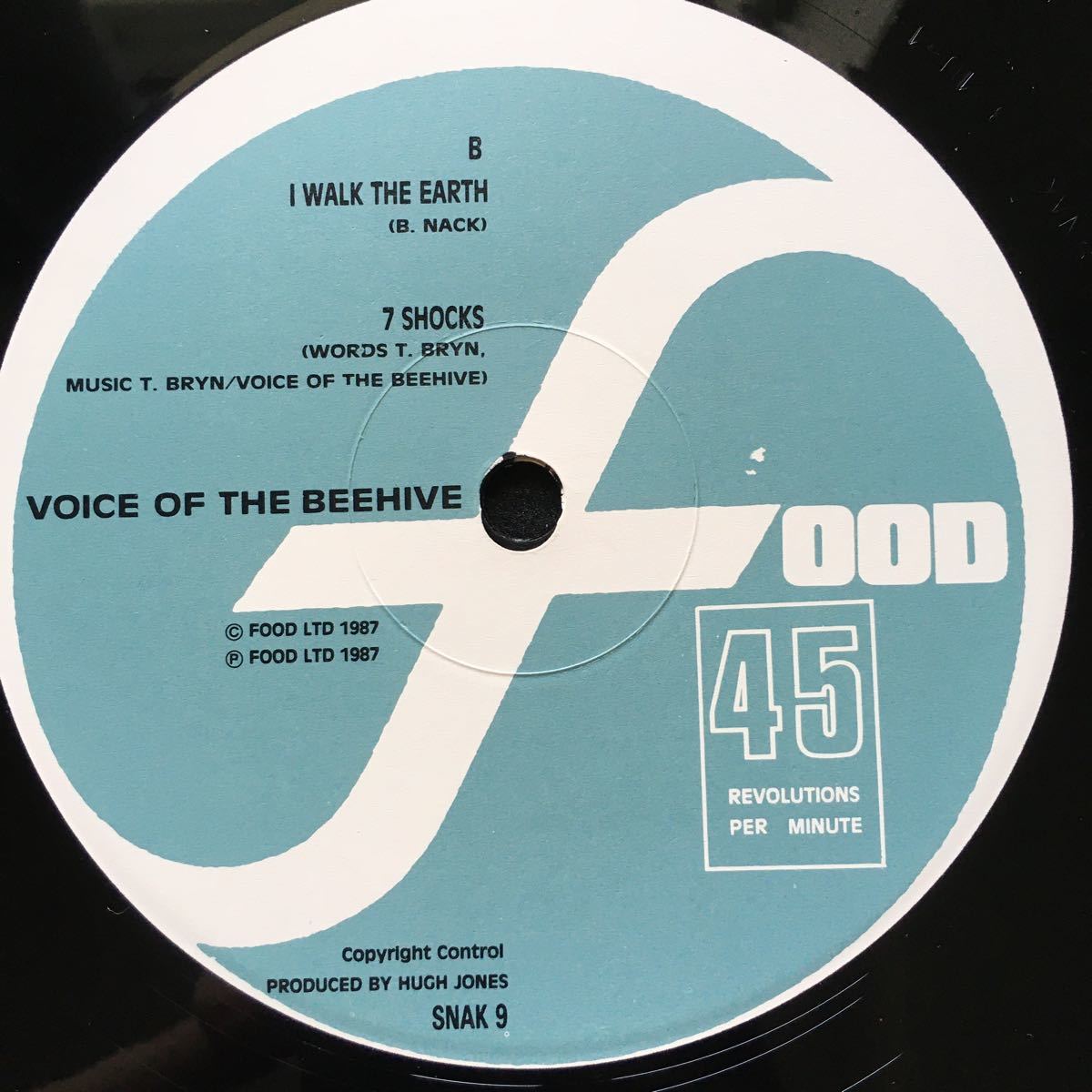 12inch VOICE OF THE BEEHIVE / JUST A CITY_画像7