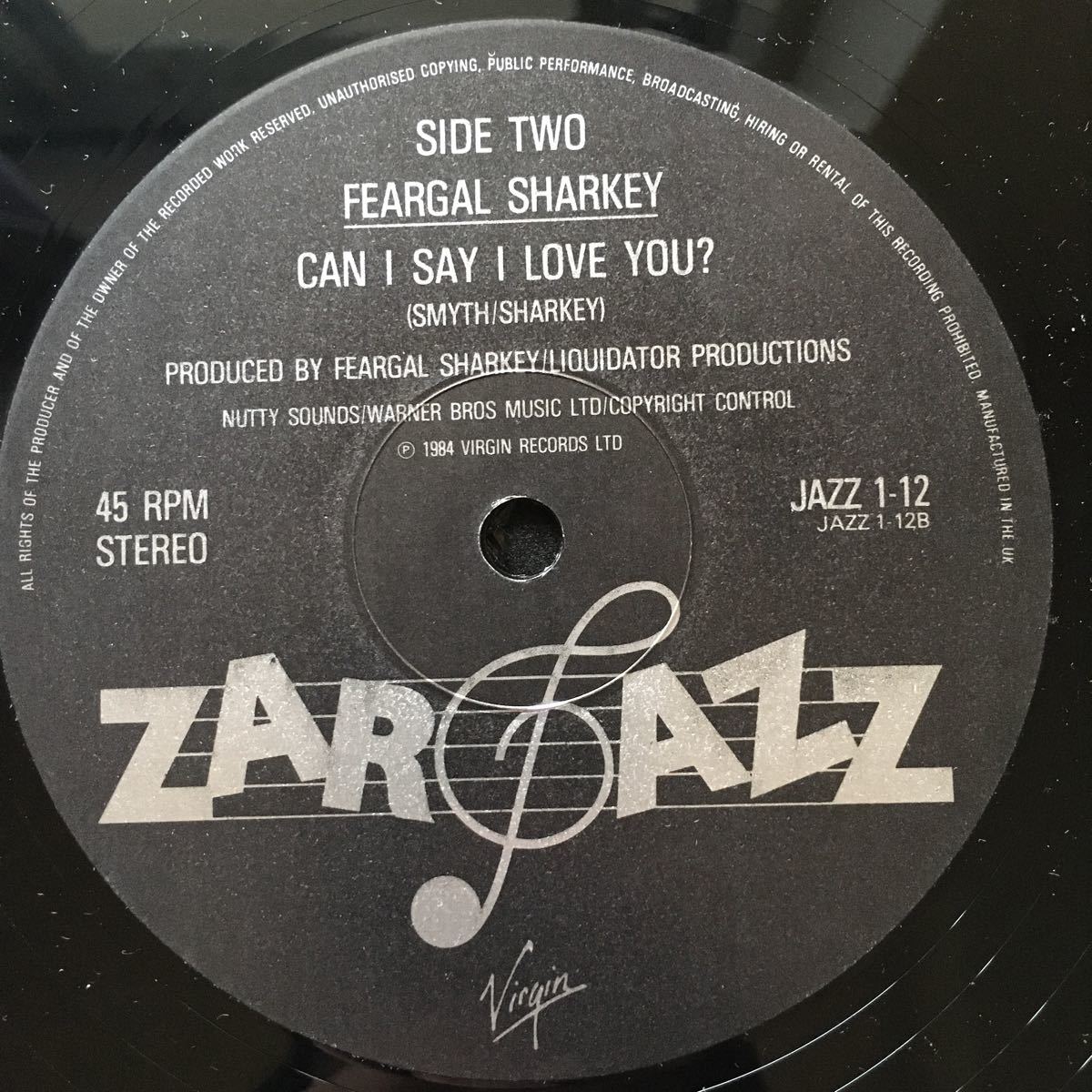 12inch FEARGAL SHARKEY / LISTEN TO YOUR FATHER_画像8