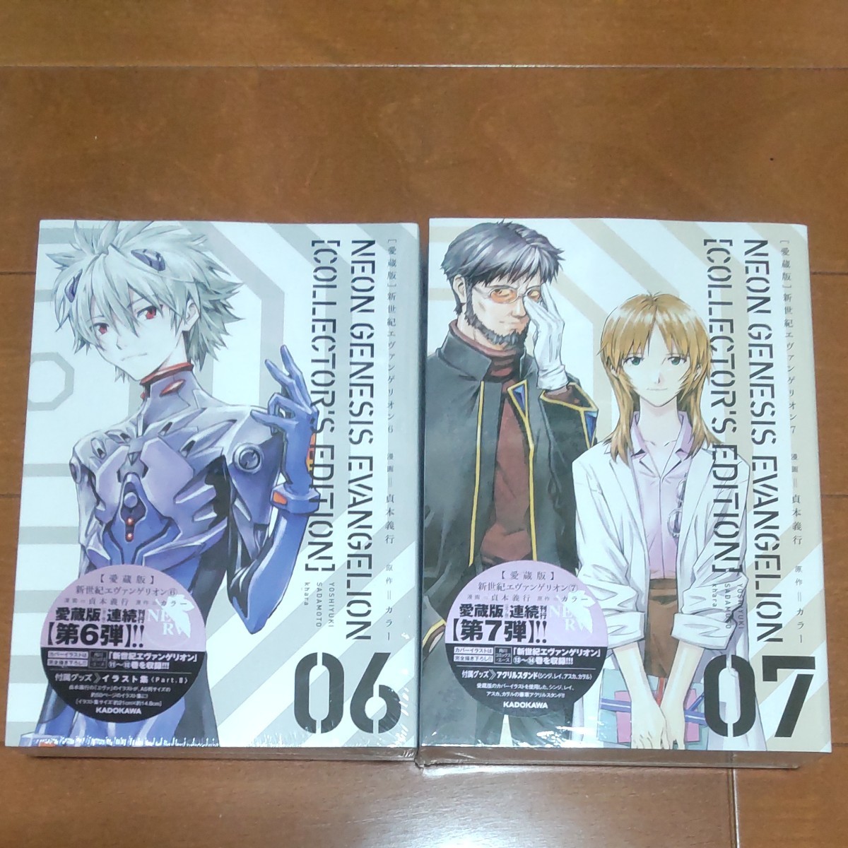Paypayフリマ 新世紀エヴァンゲリオン 愛蔵版 6巻7巻 Paypayフリマ 新世紀エヴァンゲリオン 愛蔵版 6巻7巻