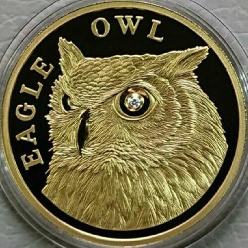 カザフスタンテンゲ2011 500 EAGLE OWL / 1ダイヤモンドPF70 最高鑑定 UCワット1/4オンスプルーフ 金貨 コイン 硬貨_画像3