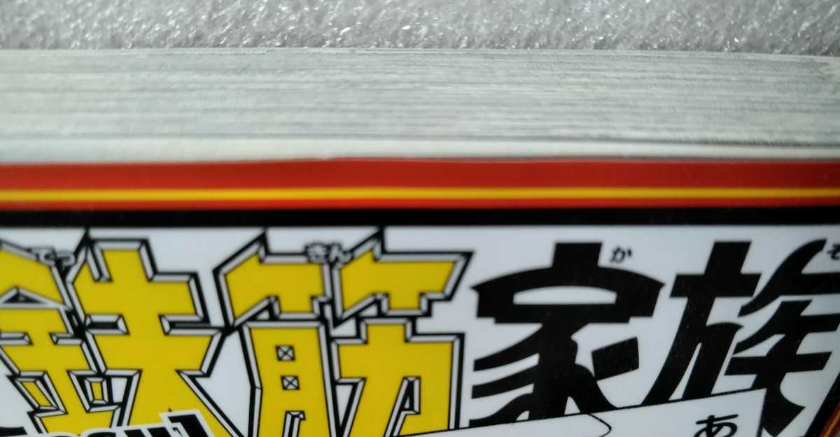 毎度! 浦安鉄筋家族 19 平成28年12月15日初版 秋田書店 著 浜岡賢次