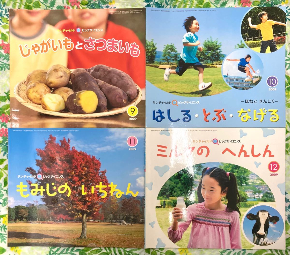 サンチャイルド・ビッグサイエンス　22冊　2008年4月〜2010年2月　(2008年6月無し)