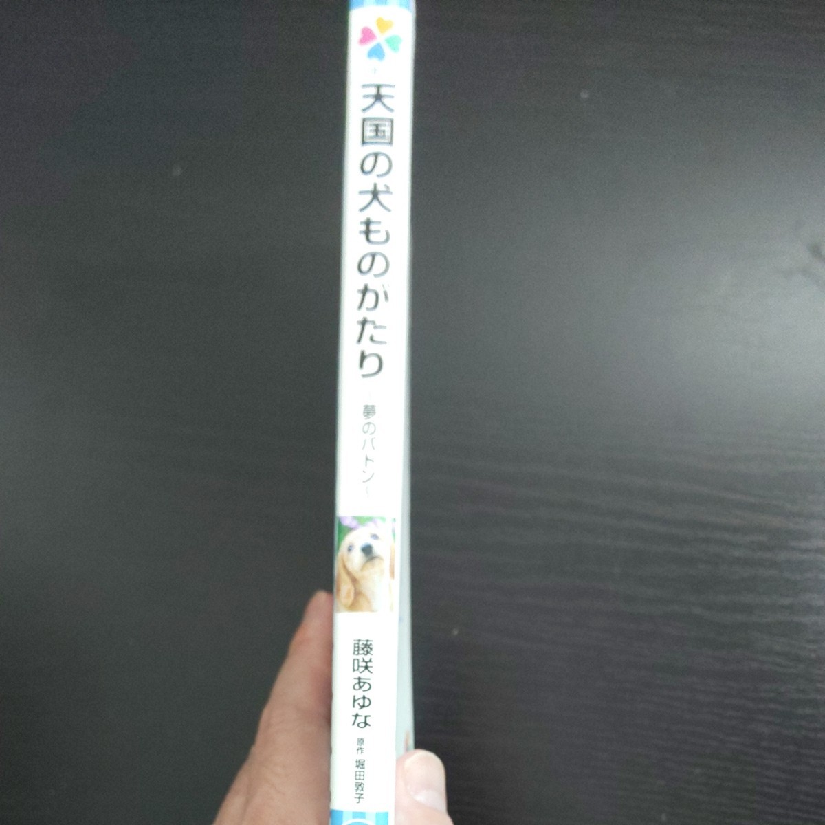 藤咲あゆな 天国の犬ものがたり 文庫本