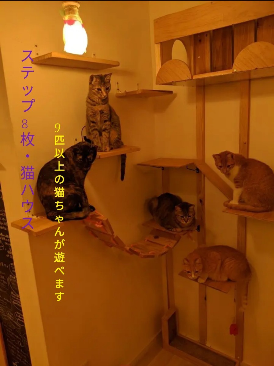 【キャットタワー&猫ハウス】
