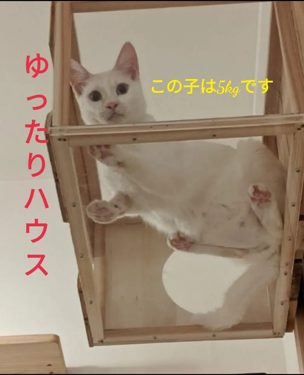 【猫カフェ設置中】キャットタワー＆猫ハウス