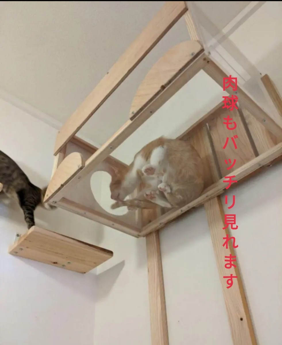 【猫カフェ設置中】キャットタワー＆猫ハウス