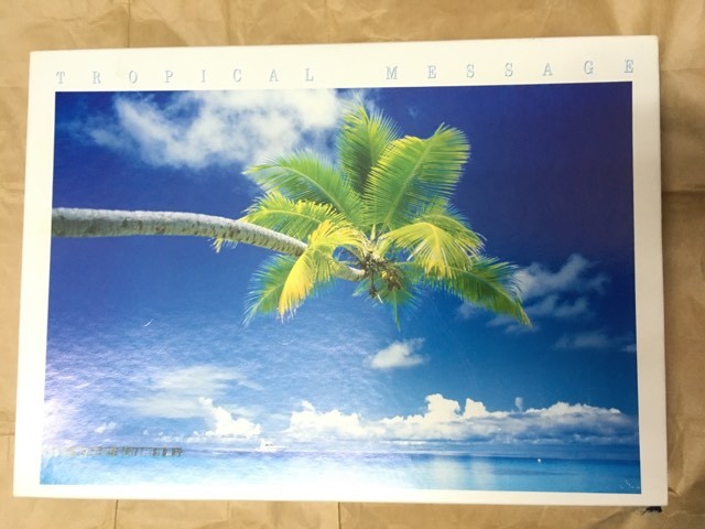 1000 ピース パズル SWEET OCEAN モルディブ MALDIVE モルジブ スウィートオーシャン TROPICAL MESSAGE APPLEONE PUZZIE 1000-711 PATENT