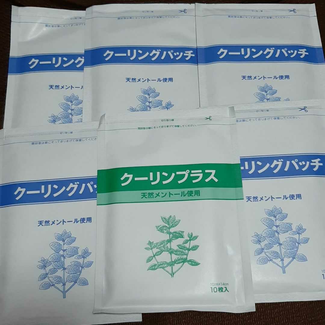 湿布 クーリングパッチ 100 医薬部外品 | fpn.lt