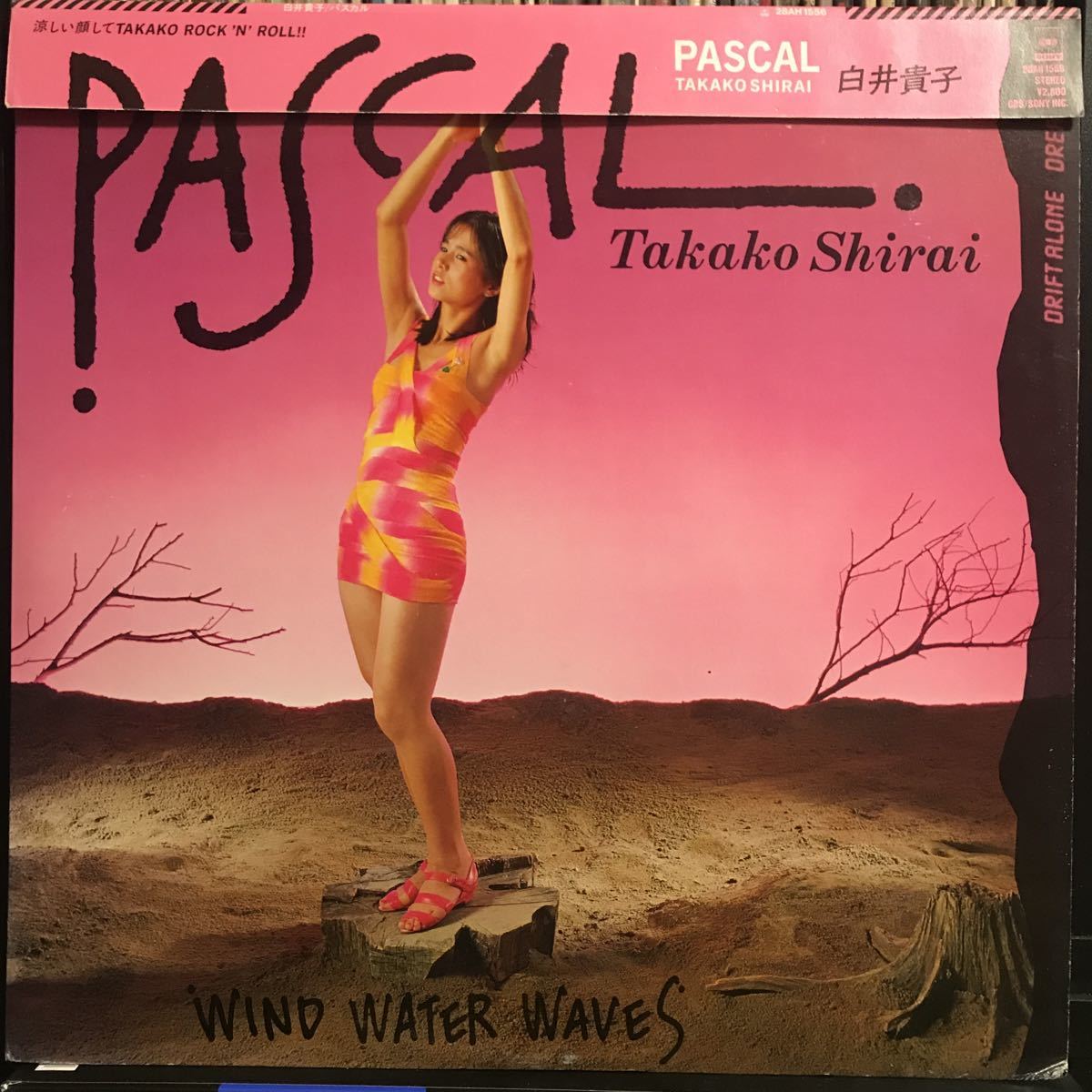 白井貴子 / Pascal 日本盤LP_画像1