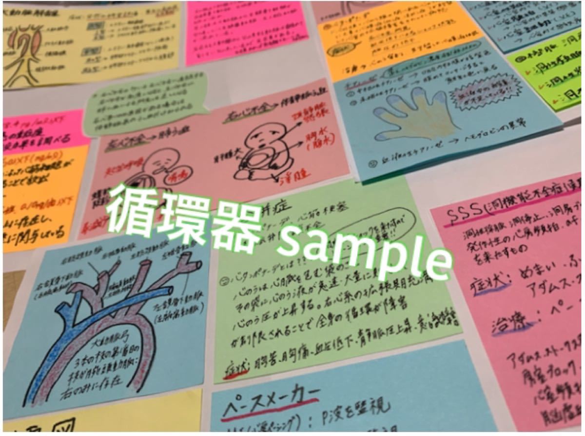 【セール価格】まとめ価格!看護師国家試験対策 暗記カード 解剖生理 付箋ノート セール価格】まとめ価格!看護師国家試験対策 暗記カード 解剖