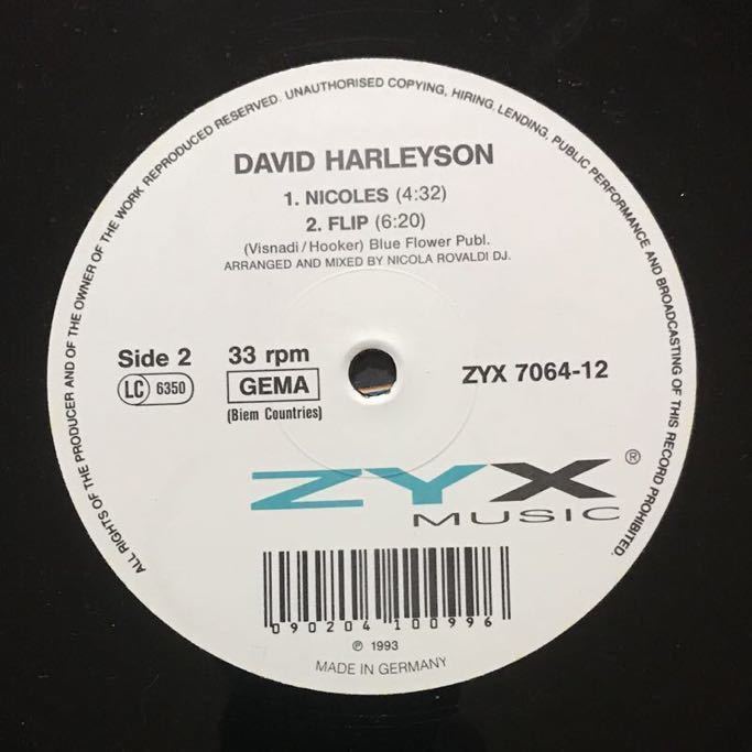 【reggae-pop】David Harleyson / In The Summertime［12inch］オリジナル盤《9595》_画像4