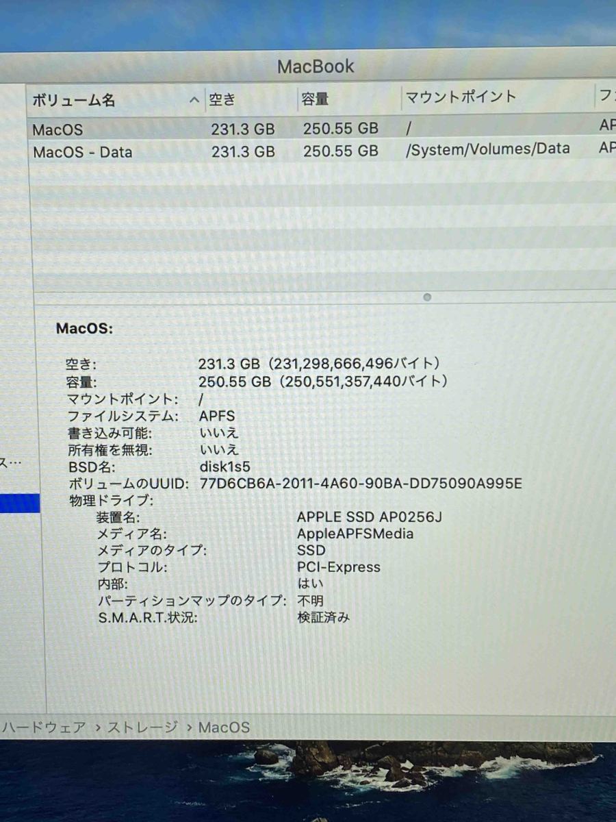 中古 Apple MacBook Retina 12inch 2017 スペースグレイ m3 8GB 256GB Catalina_画像5
