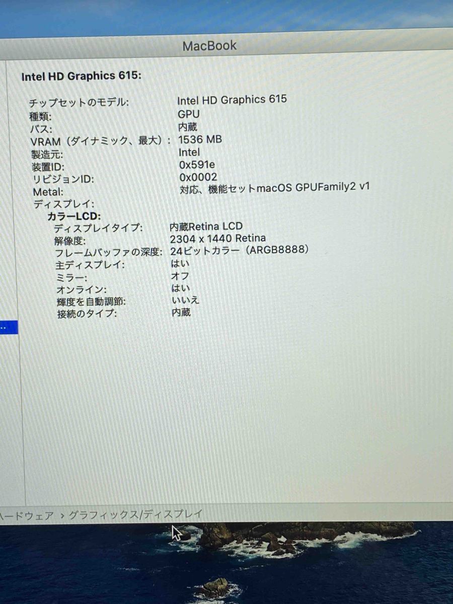  used Apple MacBook Retina 12inch 2017 Space gray m3 8GB 256GB Catalina