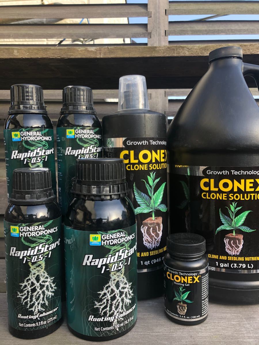 ラピッドスタート・クロネックス・Clonex Rooting gel 挿木、発根