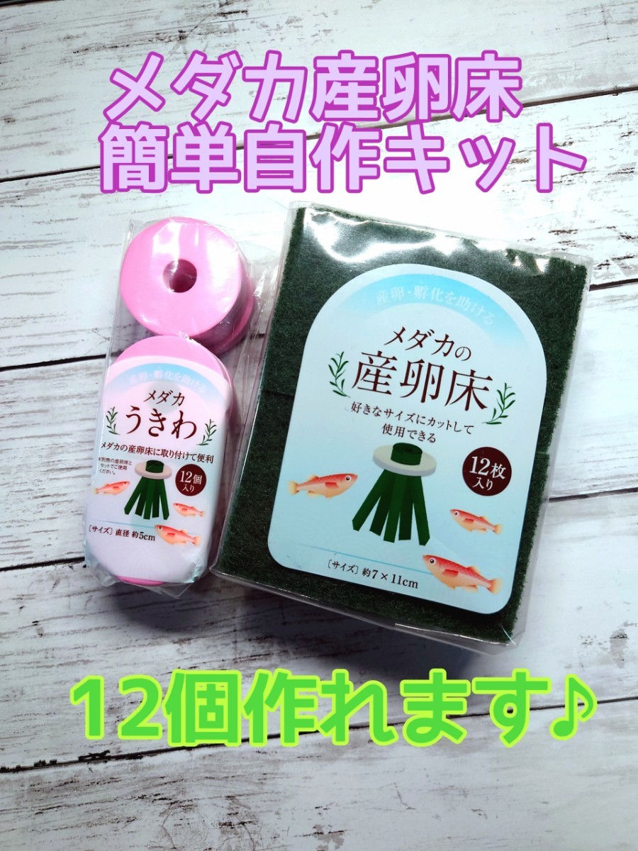 Paypayフリマ メダカ めだか 産卵床 簡単自作キット 12セット 爆産卵確実です Paypayフリマ メダカ めだか 産卵床 簡単自作キット 12セット 爆産卵確実です