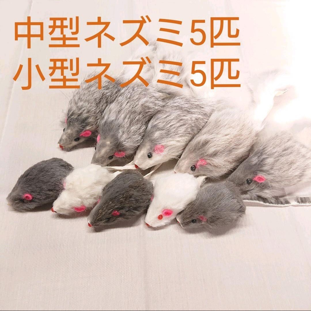 (無着色)天然毛ネズミ20匹セット