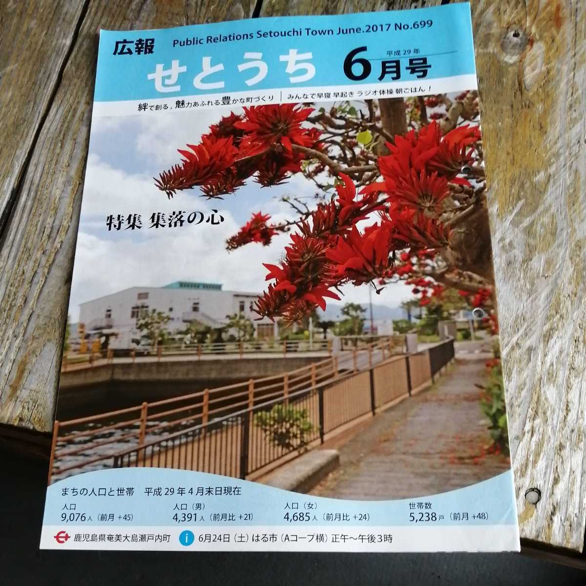 ☆奄美大島　広報せとうち 2017年6月号　No.699 瀬戸内町　古仁屋☆_画像1