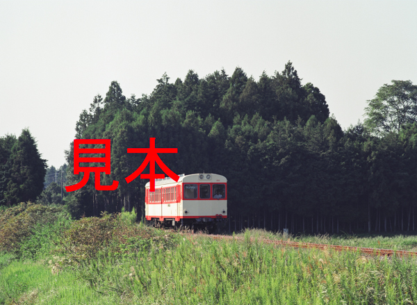 鉄道写真645ネガデータ、122704340005、キハ601、鹿島鉄道、四箇村～常陸小川、2000.09.21、（4591×3362）_画像1