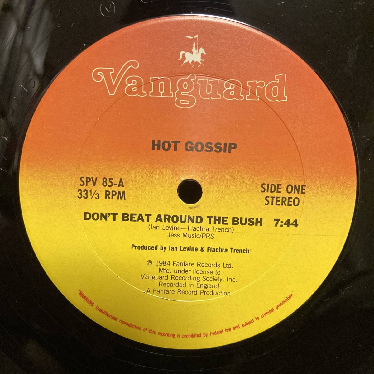 HOT GOSSIP / DON'T BEAT AROUND THE BUSH_画像2