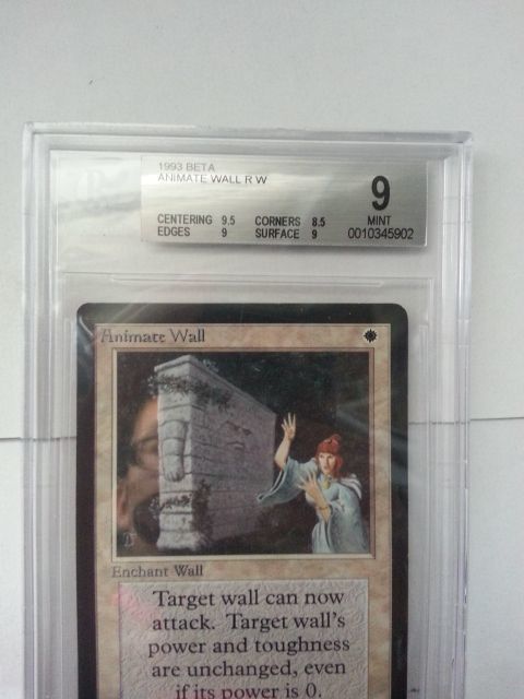 ●MTG● β ベータ 動く壁(英語 BGS9)_画像2